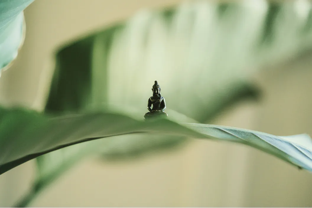 Photo d’une petite statue de Bouddha sur une plante verte.